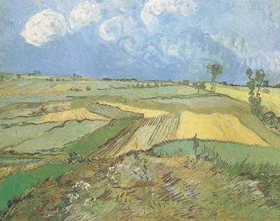 Vincent Van Gogh Wheat Fields at Auvers under Clouded Sky (nn04) Spain oil painting art